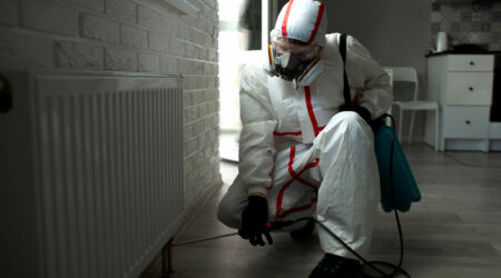 Top termite control services in the country