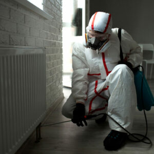 Top termite control services in the country
