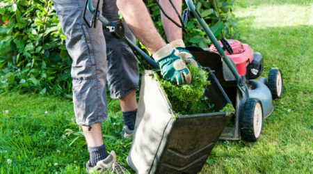 4 best lawn care companies in 2022