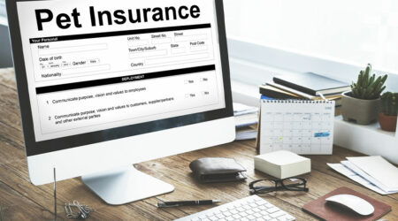 5 best pet insurance providers