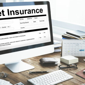 5 best pet insurance providers