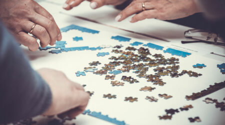 The connection between puzzles and cognitive capacity