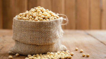 Soy – Types, health benefits, and side effects