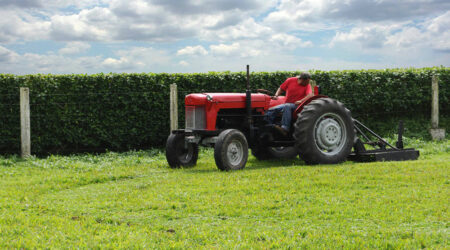Factors to consider before buying a used farm tractor