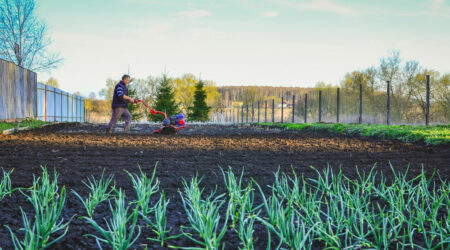 What is agriculture and how to make it a career