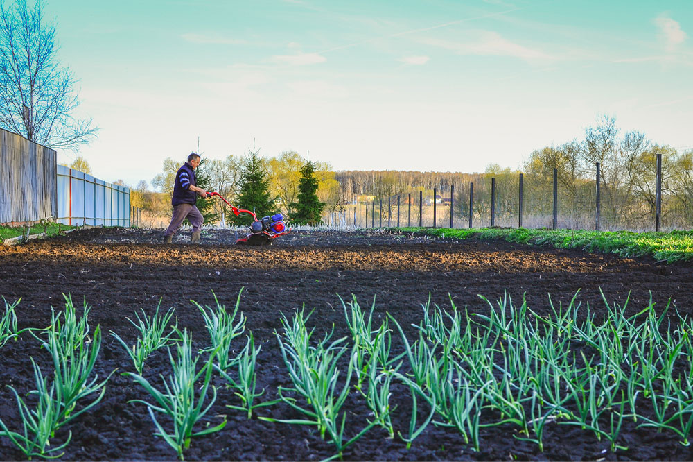 What is agriculture and how to make it a career